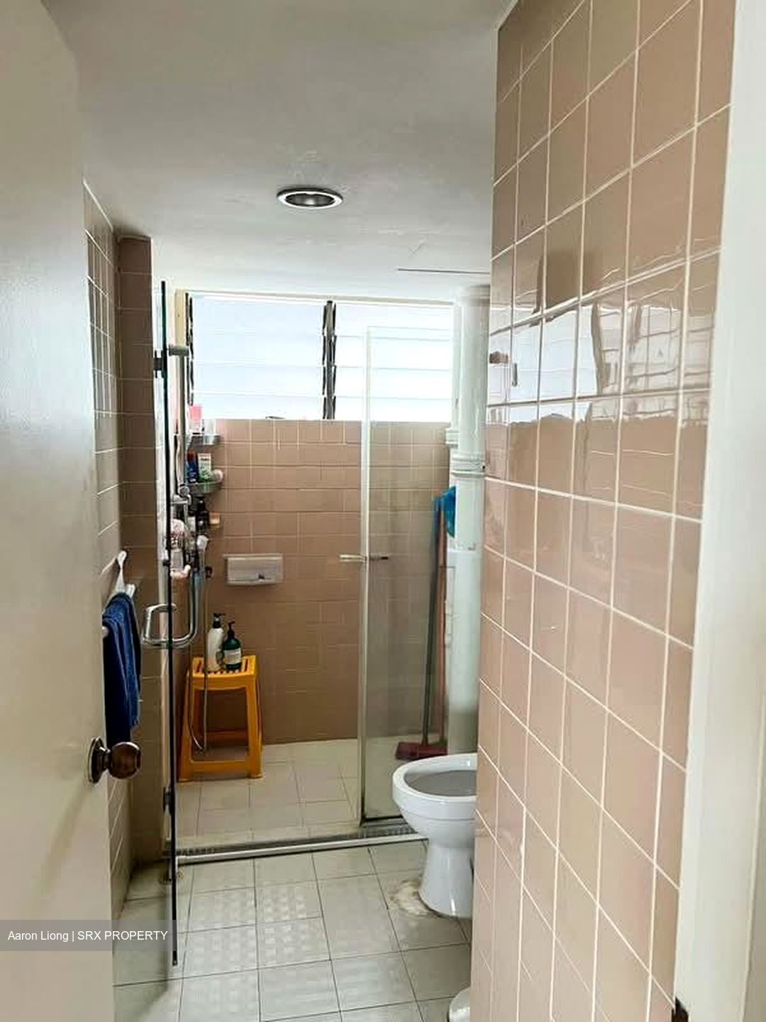 Laguna Park (D15), Apartment #561617911